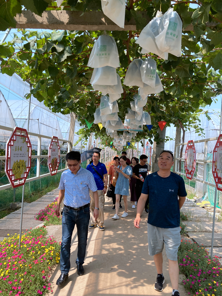 公海彩船·6600(中国游)官方网站